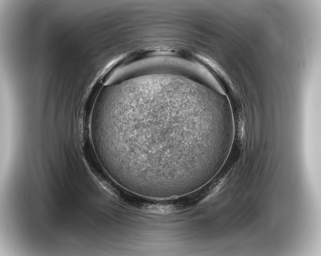 X0000085750444200703161058