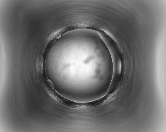 X0000085750446200703161058