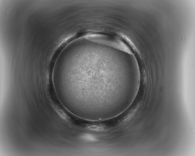 X0000085750447200703161058