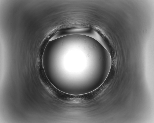 X0000085750448200703161058