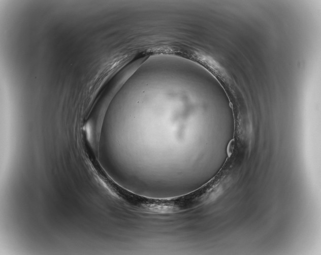 X0000085750449200703161058