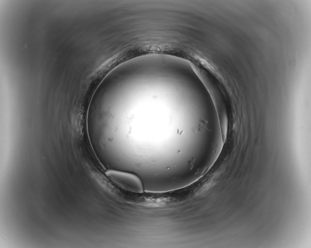 X0000085750450200703161058