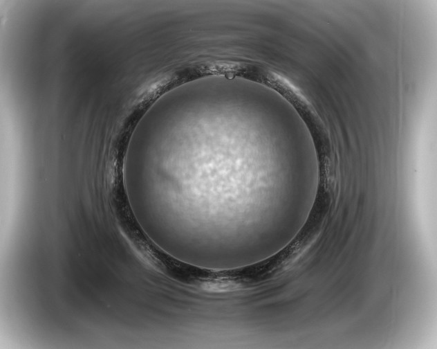 X0000085750451200703161058