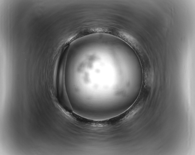 X0000085750453200703161058
