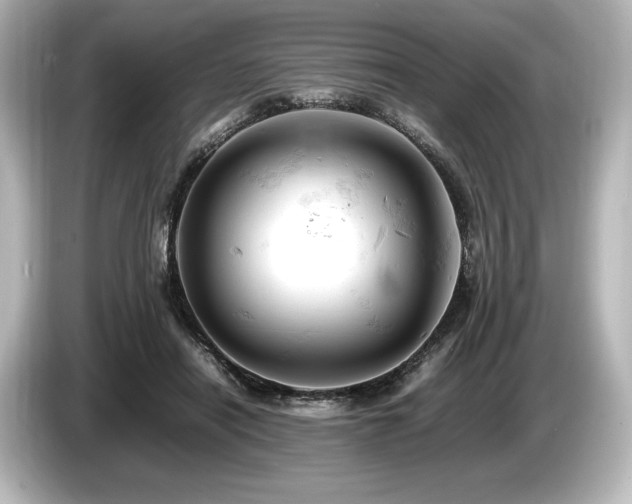 X0000085750454200703161058