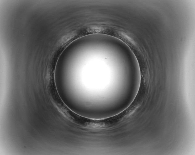 X0000085750455200703161058