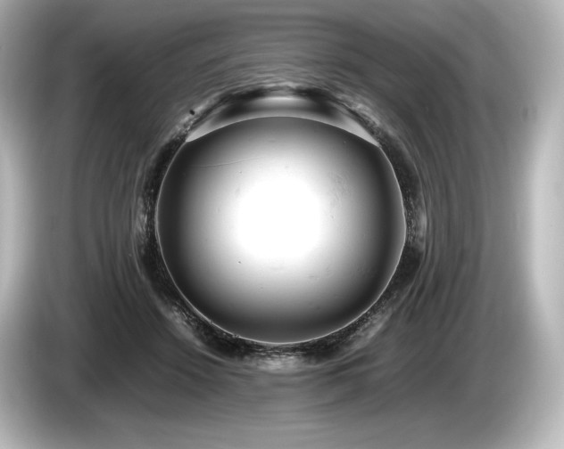 X0000085750456200703161058