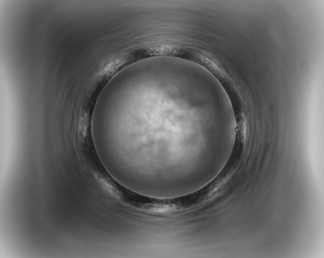 X0000085750458200703161058