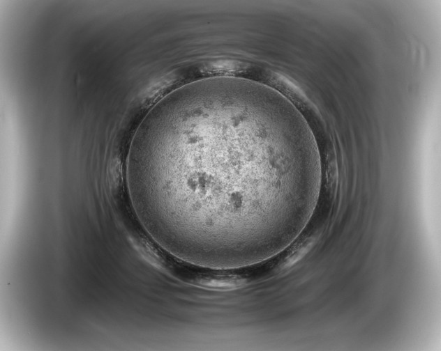 X0000085750459200703161058
