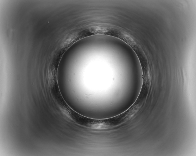 X0000085750460200703161058