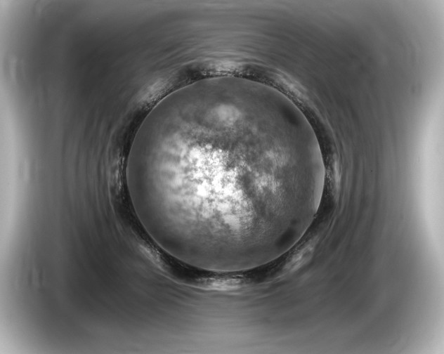 X0000085750462200703161058