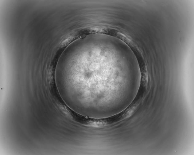 X0000085750466200703161058