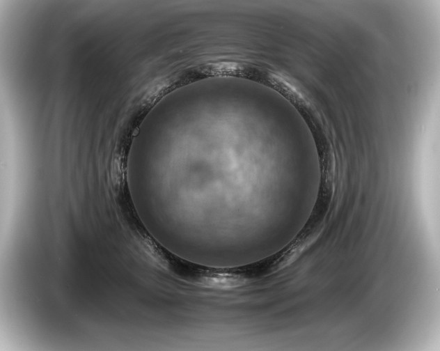 X0000085750467200703161058