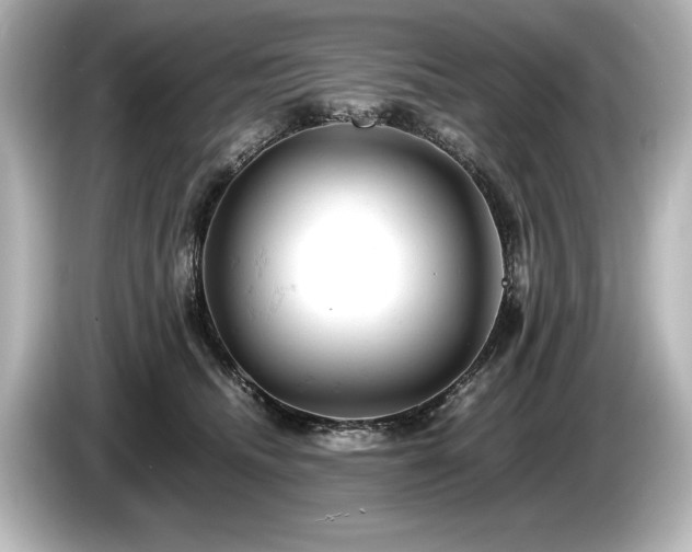 X0000085750468200703161059
