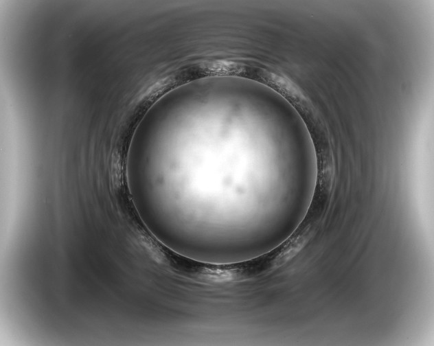 X0000085750469200703161059