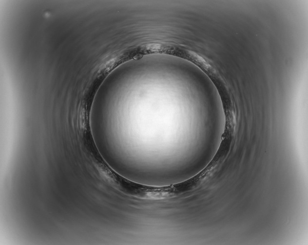 X0000085750470200703161059
