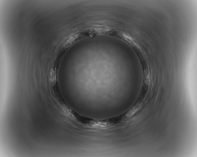 X0000085750471200703161059