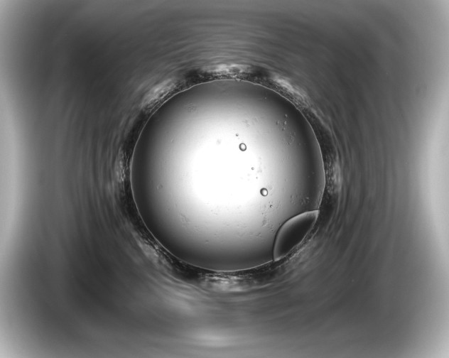 X0000085750472200703161059
