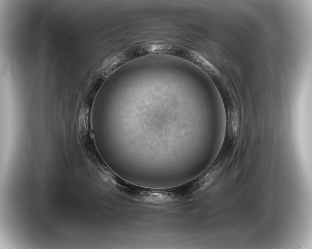 X0000085750475200703161059