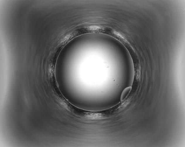 X0000085750476200703161059
