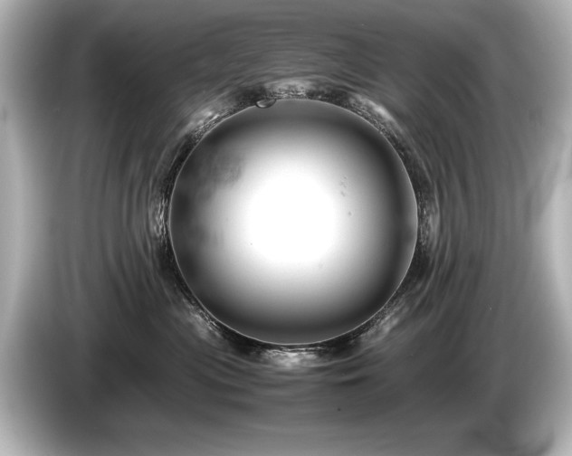 X0000085750477200703161059