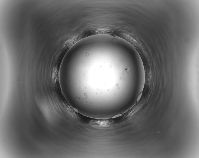X0000085750478200703161059