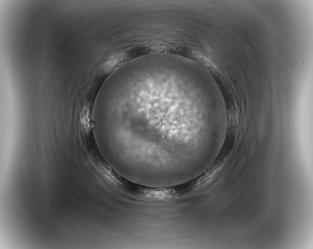 X0000085750479200703161059