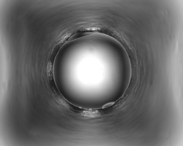 X0000085750480200703161059