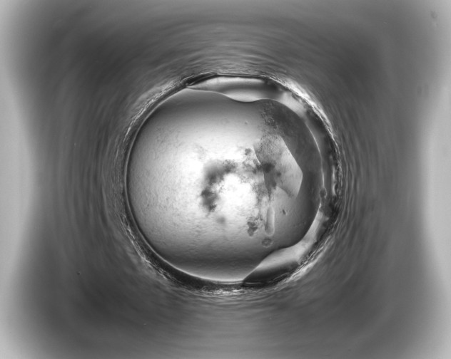 X0000085750481200703161058