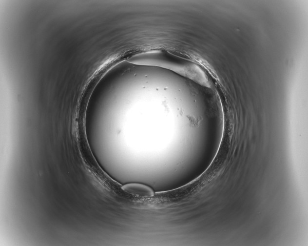 X0000085750482200703161058