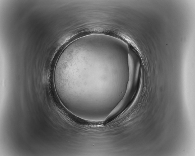 X0000085750483200703161058