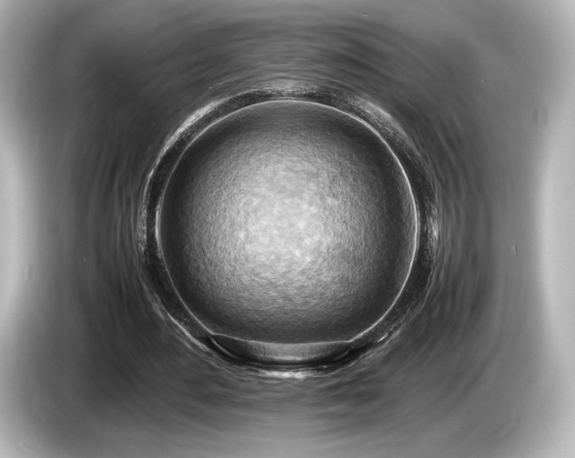 X0000085750484200703161058
