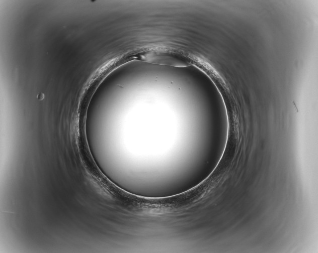 X0000085750486200703161058