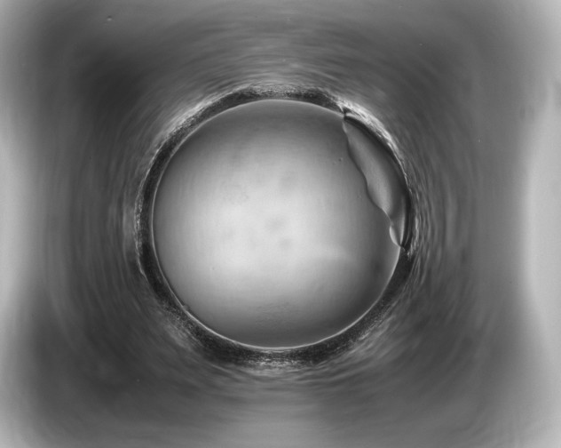 X0000085750487200703161058