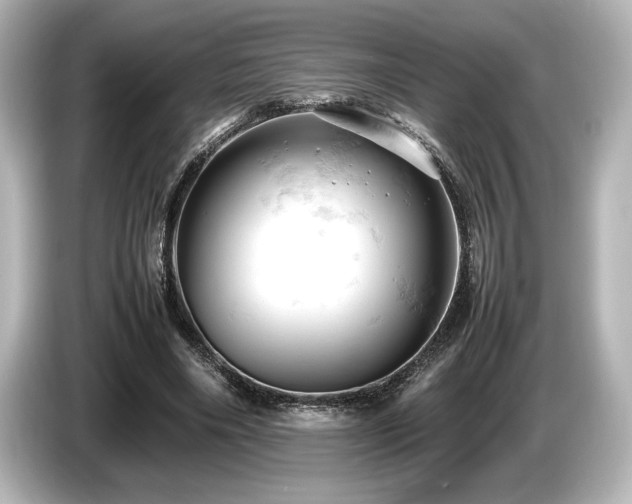 X0000085750490200703161058