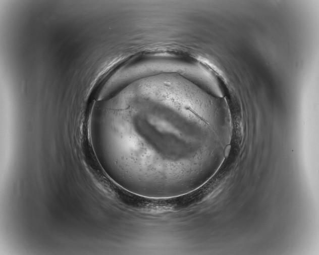 X0000085750491200703161058