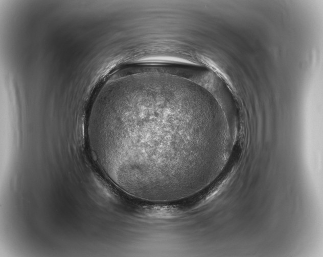 X0000085750493200703161058