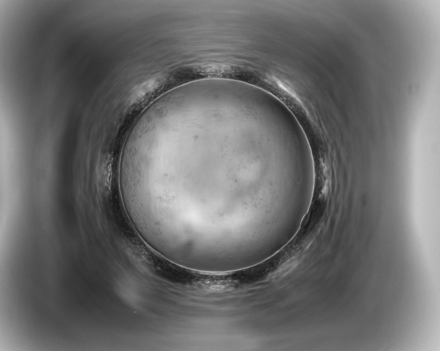 X0000085750495200703161058