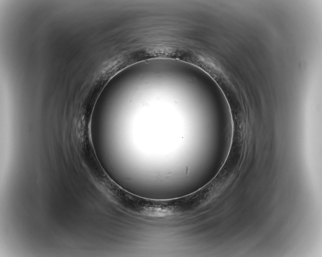 X0000085750498200703161058