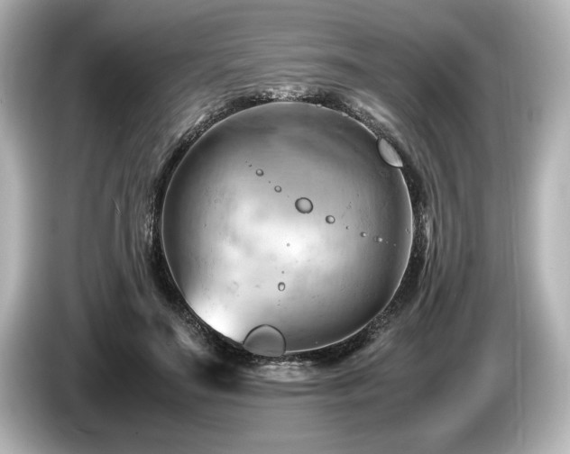 X0000085750499200703161058