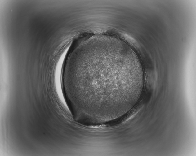X0000085750501200703161058