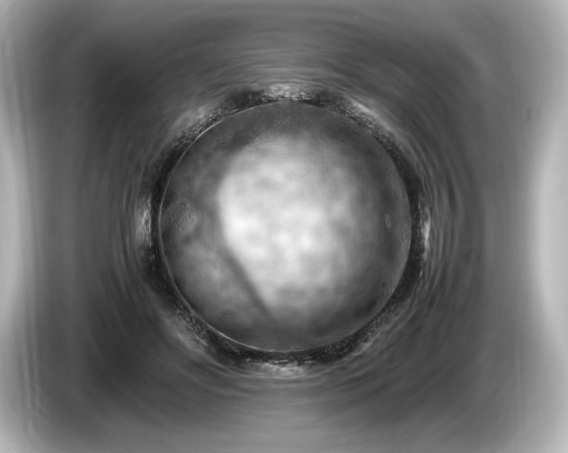 X0000085750502200703161058