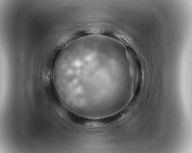 X0000085750503200703161058