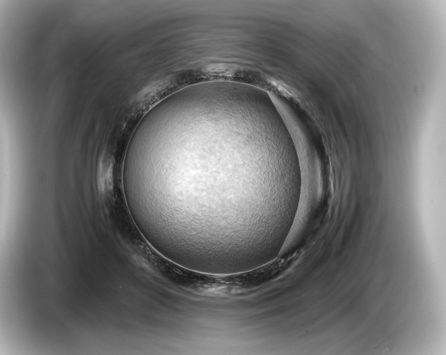 X0000085750504200703161058
