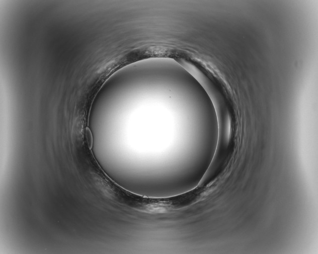X0000085750505200703161058