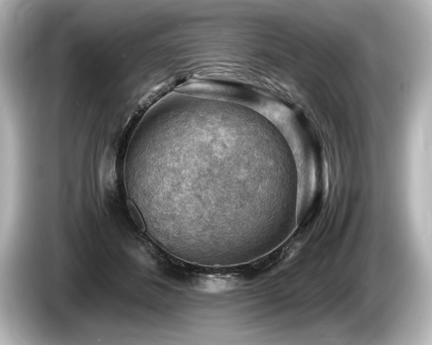 X0000085750508200703161058