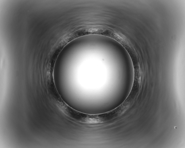 X0000085750510200703161057