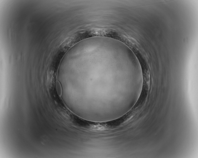 X0000085750511200703161057
