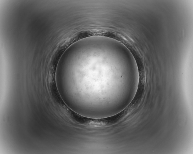 X0000085750515200703161057