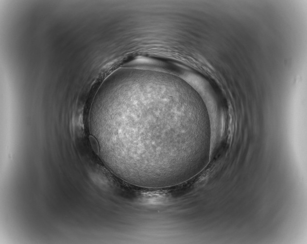 X0000085750516200703161057